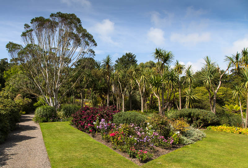 Logan Botanic Gardens Dumfries and Galloway Scotland Dorsetcamera