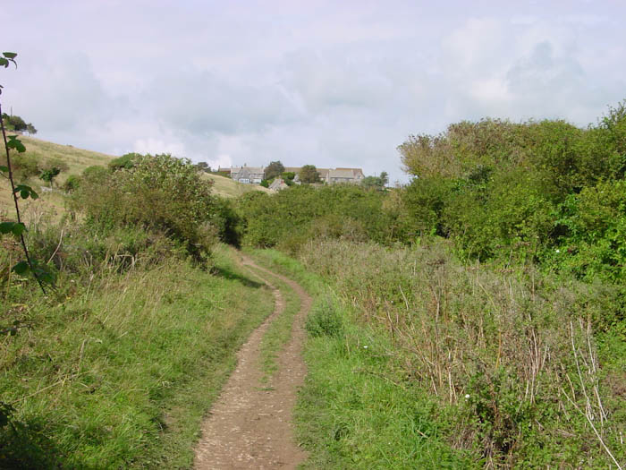 Dorsetcamera Dorset Coastal Path Walk Winspit