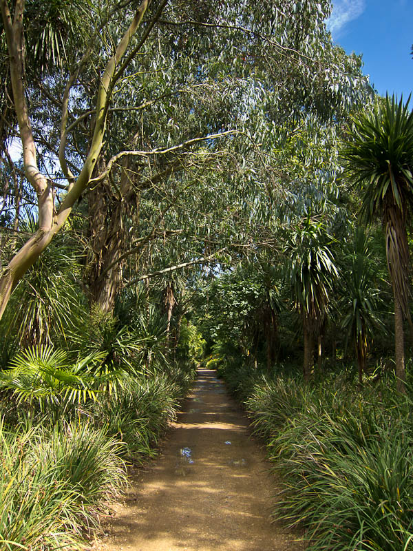 Sub-tropical gardens Abbotsbury Dorset Dorsetcamera