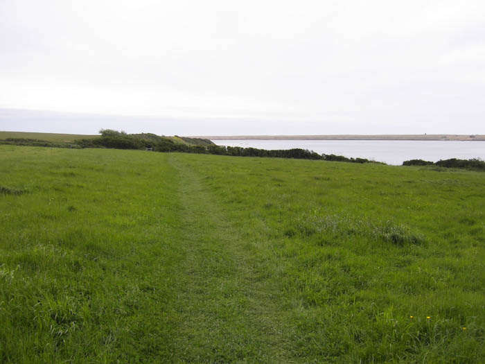 Fleet Dorset Dorsetcamera Coastal Path walk